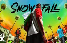 Snowfall