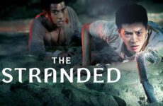 The Stranded