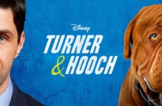 Turner & Hooch
