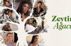 Zeytin Ağacı